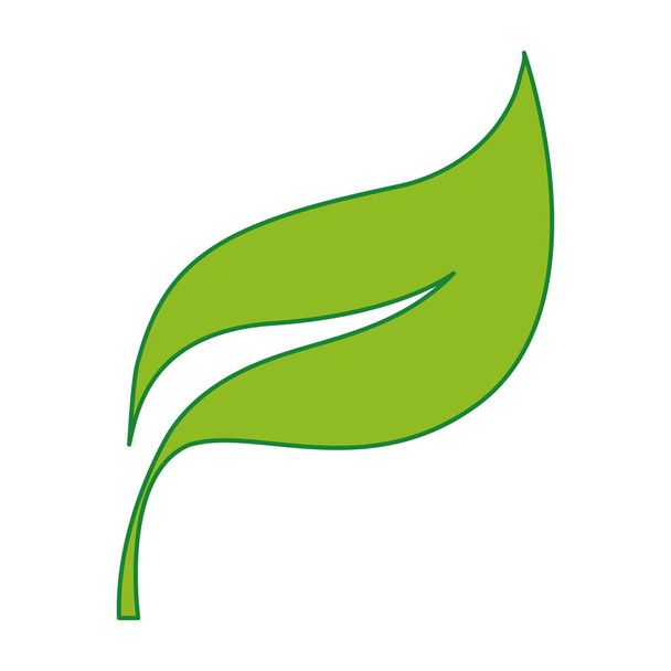 природа екзотичний дизайн листя рослини Векторні ілюстрації
 - Вектор, зображення