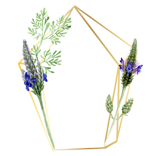 Blue violet lavender floral botanical flower. Wild spring leaf wildflower isolated. Watercolor background illustration set. Watercolour drawing fashion aquarelle. Frame border ornament square. - Фото, изображение