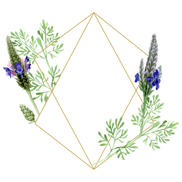 Blue violet lavender floral botanical flower. Wild spring leaf wildflower isolated. Watercolor background illustration set. Watercolour drawing fashion aquarelle. Frame border ornament square. - Foto, Imagen