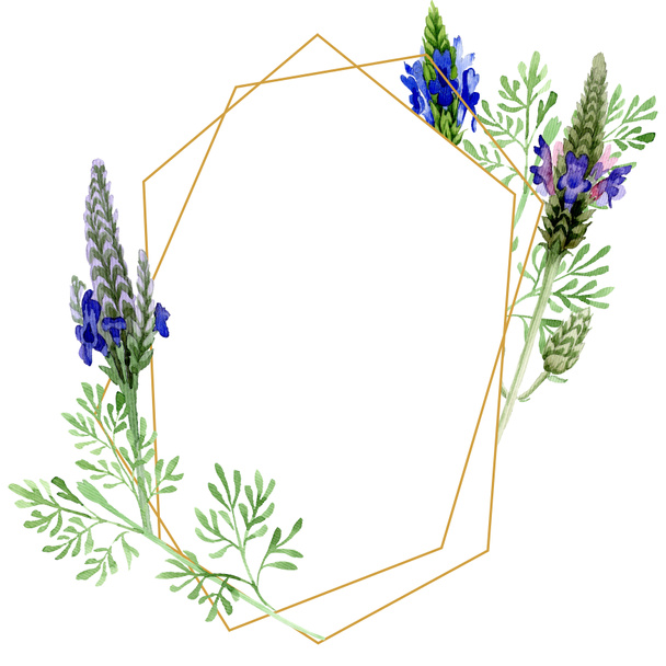 Ботанический цветок сине-фиолетовой лаванды. Дикий весенний цветок изолирован. Набор акварельных фонов. Акварель для рисования акварелью. Граничный орнамент
. - Фото, изображение