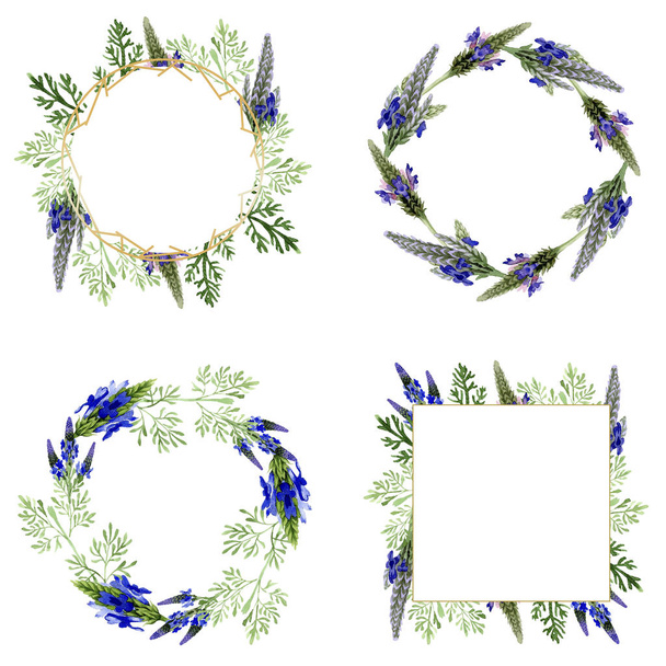 Blauwe violet lavendel bloemen botanische bloem. Wild voorjaar blad wildflower geïsoleerd. Aquarel achtergrond afbeelding instellen. Aquarel tekenen mode aquarelle. Frame grens ornament vierkant. - Foto, afbeelding