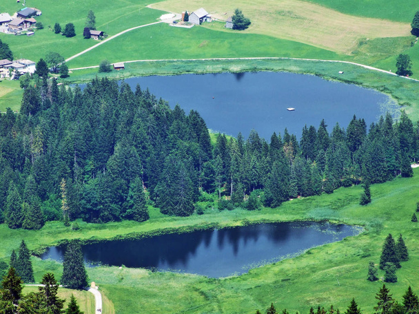 Small lakes Schwendiseen (Der vordere und hindere Schwendiseen), Wildhaus - Canton of St. Gallen, Switzerland - Fotoğraf, Görsel