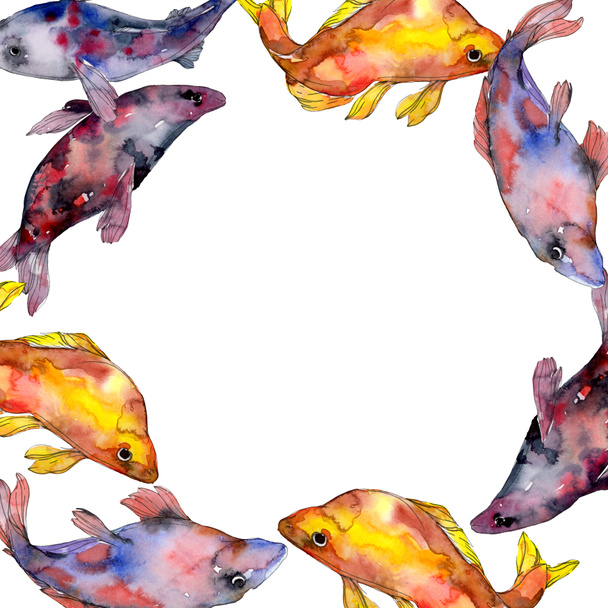Spotted aquatic underwater colorful fish set. Red sea and exotic fishes inside. Watercolor background illustration set. Watercolour drawing fashion aquarelle isolated. Frame border ornament square. - 写真・画像