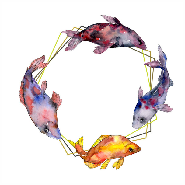 Pettyes vízi víz alatti színes hal meg. Vörös-tenger és egzotikus halak belül. Akvarell háttér illusztráció készlet. Akvarell rajz divat aquarelle elszigetelt. Test határ Dísz tér. - Fotó, kép