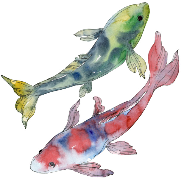 Pettyes vízi víz alatti színes trópusi hal meg. Vörös-tenger és egzotikus halak belül. Akvarell háttér beállítása. Akvarell rajz divat aquarelle. Elszigetelt hal ábra elem. - Fotó, kép