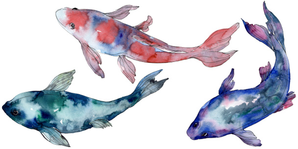 Spotted aquatic underwater colorful tropical fish set. Red sea and exotic fishes inside. Watercolor background set. Watercolour drawing fashion aquarelle. Isolated fish illustration element. - Zdjęcie, obraz