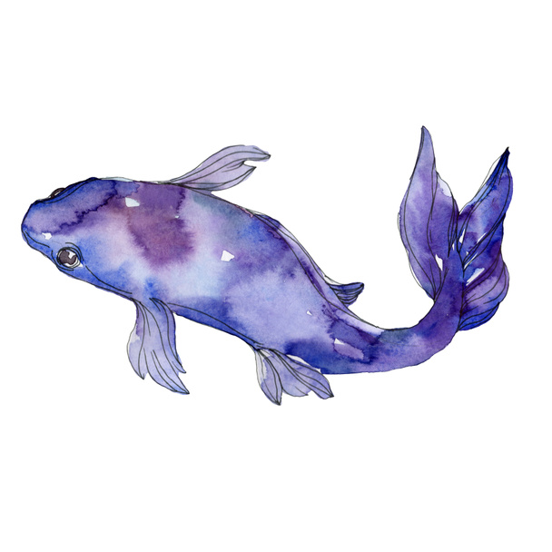 Vízi víz alatti színes trópusi hal meg. Vörös-tenger és egzotikus halak belül: Aranyhal. Akvarell háttér beállítása. Akvarell rajz divat aquarelle. Elszigetelt aranyhal ábra elem. - Fotó, kép