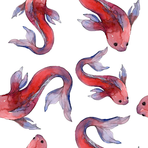 Aquatic fish set. Red sea and exotic fishes inside: Goldfish. Watercolor illustration set. Watercolour drawing fashion aquarelle. Seamless background pattern. Fabric wallpaper print texture. - Zdjęcie, obraz