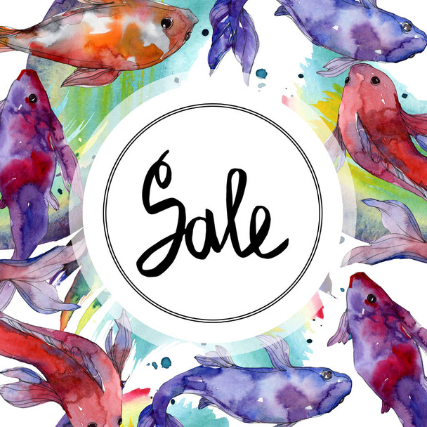 Aquatic underwater tropical fish set. Red sea and exotic fishes inside: Goldfish. Watercolor background illustration set. Watercolour drawing fashion aquarelle isolated. Frame border ornament square. - Φωτογραφία, εικόνα