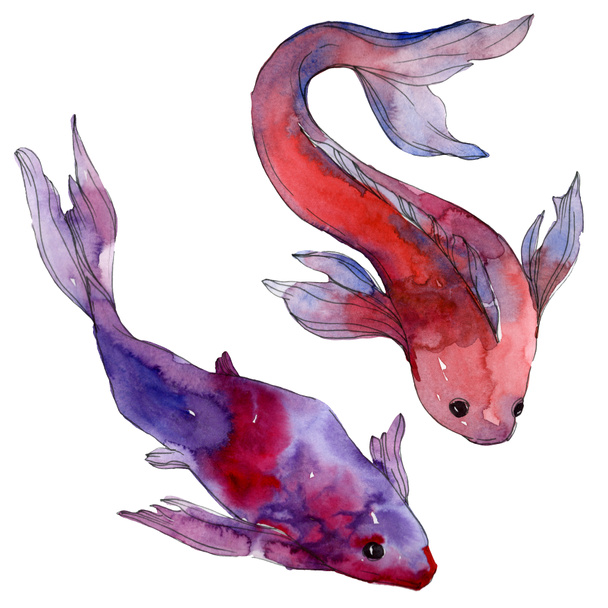 Vízi víz alatti színes trópusi hal meg. Vörös-tenger és egzotikus halak belül: Aranyhal. Akvarell háttér beállítása. Akvarell rajz divat aquarelle. Elszigetelt aranyhal ábra elem. - Fotó, kép