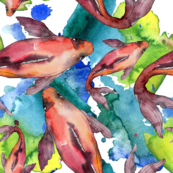 Aquatic fish set. Red sea and exotic fishes inside: Goldfish. Watercolor illustration set. Watercolour drawing fashion aquarelle. Seamless background pattern. Fabric wallpaper print texture. - Foto, afbeelding