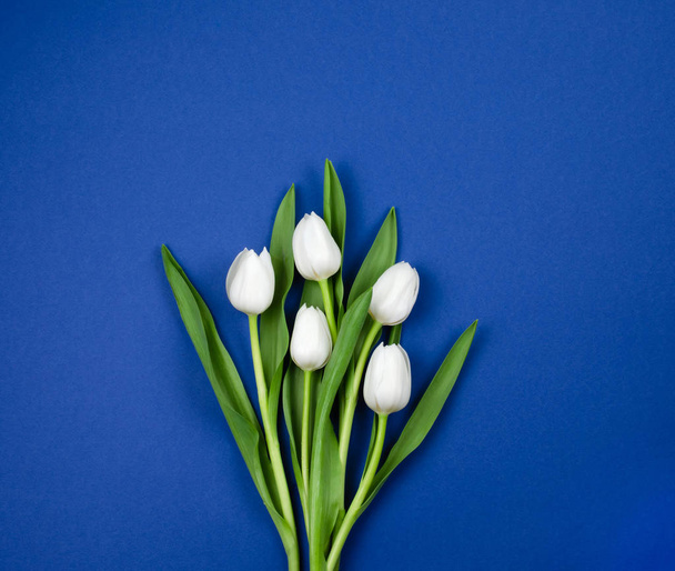 Bouquet of white tulips on a dark blue background. This card is suitable for a man. - Foto, afbeelding