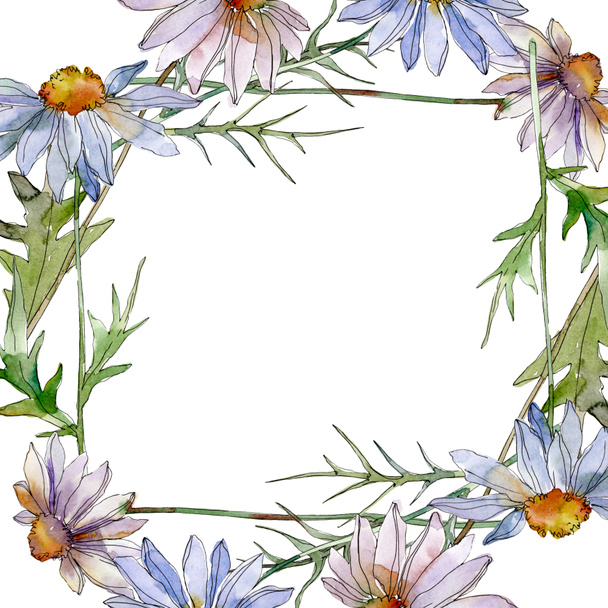 chamomiles and daisies with green leaves watercolor illustration set, frame border ornament with copy space - Photo, Image
