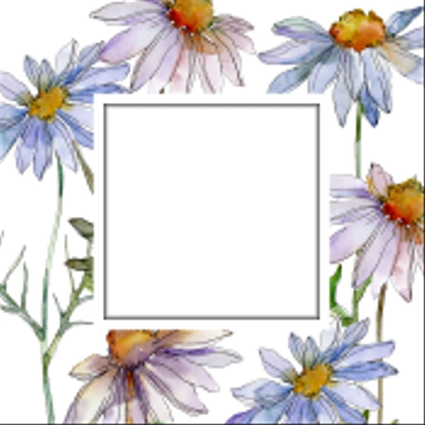 chamomiles and daisies with green leaves watercolor illustration set, frame border ornament with copy space - Fotografie, Obrázek