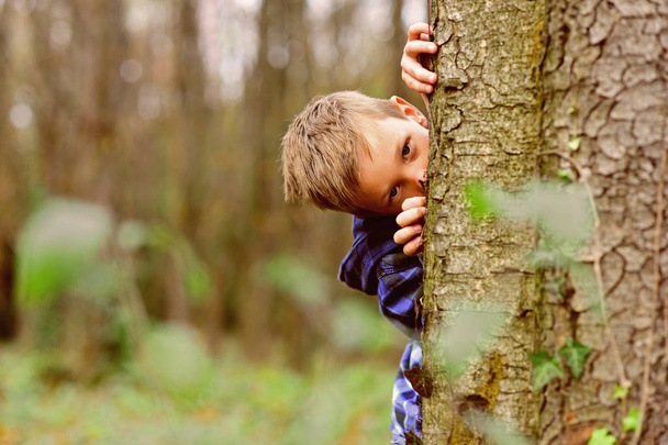 Spying is exciting. Small spy. Small child hide behind tree in forest. Small boy play guessing game. I spy with my little eye - Photo, Image