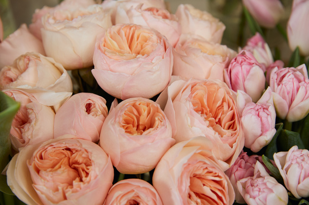 крупным планом из бежевых пионов и розовых тюльпанов
 - Фото, изображение
