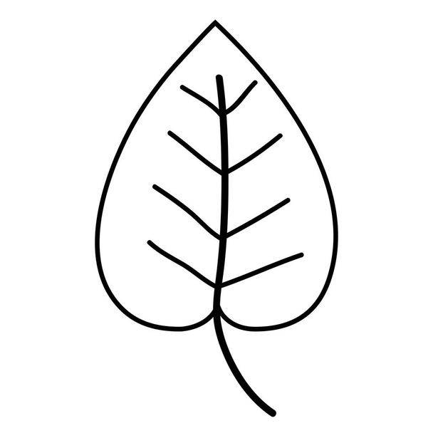 лінія тропічного природного листя рослини дизайн Векторні ілюстрації
 - Вектор, зображення
