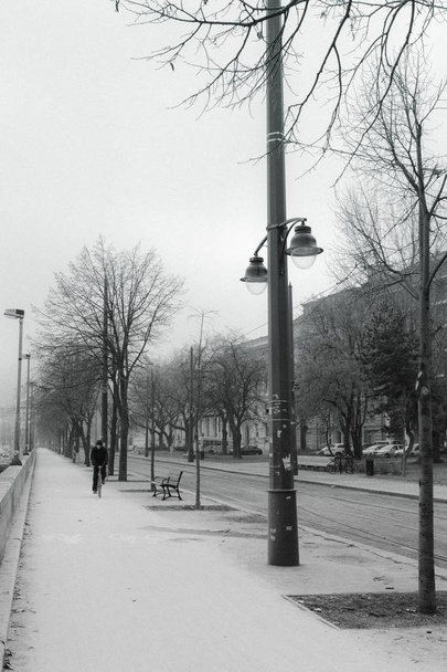 Budapeşte sokakları, Macaristan, Tuna seti. Siyah beyaz - Fotoğraf, Görsel