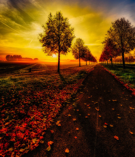 Beaux-arts coloré scénique glorieux lever de soleil d'automne sur une ruelle avec un ciel dramatique et une piste cyclable avec des feuilles impression saisonnière dans le style de peinture fantaisie surréaliste, ruelle vers le soleil doré
 - Photo, image