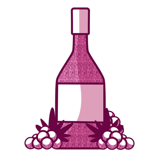 Borosüveg szőlő vektoros illusztráció grafikai tervezés - Vektor, kép