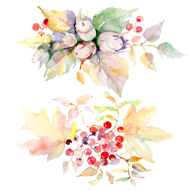 Bouquet of autumn forest fruits. Wild spring leaf isolated. Watercolor background illustration set. Watercolour drawing fashion aquarelle. Isolated bouquet illustration element. - Zdjęcie, obraz