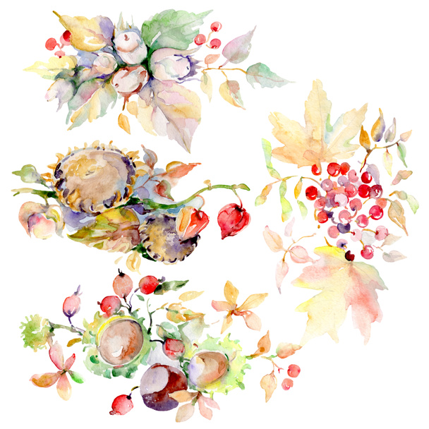 Bouquet of autumn forest fruits. Wild spring leaf isolated. Watercolor background illustration set. Watercolour drawing fashion aquarelle. Isolated bouquet illustration element. - Photo, Image