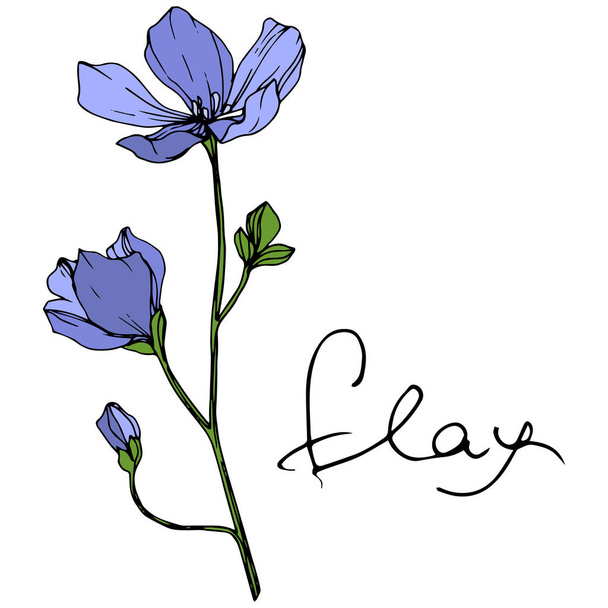 Vector Blue Flax floral botanical flower. Wild spring leaf wildflower isolated. Engraved ink art. Isolated flax illustration element on white background. - Vektör, Görsel