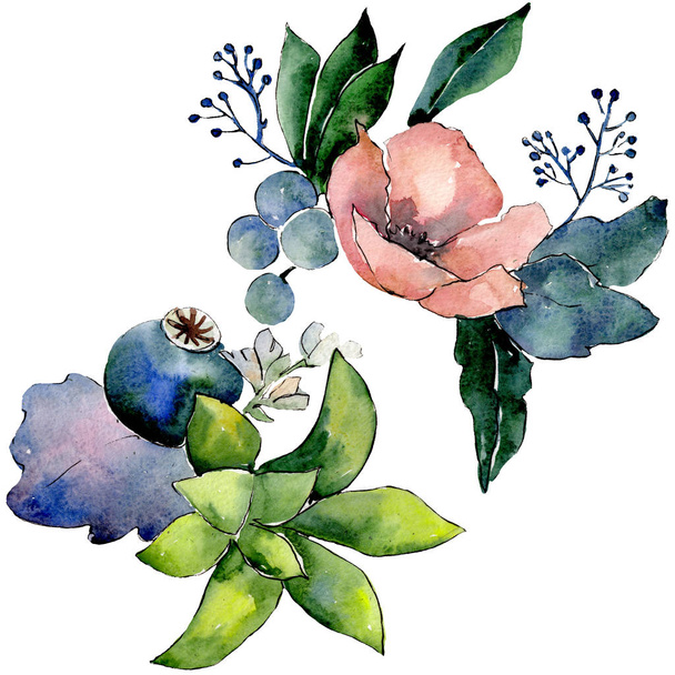 Bouquets with succulent floral botanical flowers. Watercolor background set. Isolated succulents illustration element. - Fotoğraf, Görsel