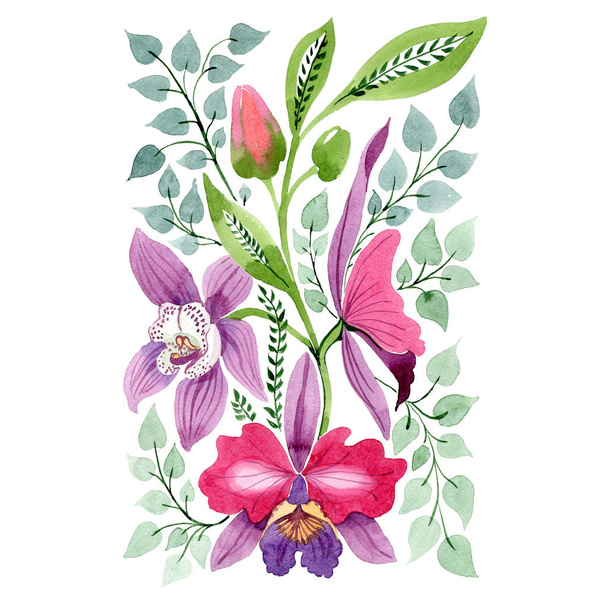 Fioletowy różowy storczyk botaniczny kwiat kwiatowy. Zestaw tle akwarela. Element ilustracja na białym tle ornament. - Zdjęcie, obraz