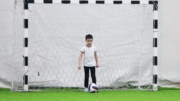 Indoor football arena. A little boy gatekeeper kicking the ball and starting the game - Footage, Video