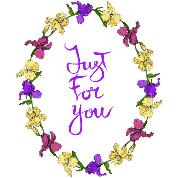 Vektor lila, sárga és bordó Irisz floral botanikus. Vad tavaszi levél vadvirág elszigetelt. Vésett tinta art. Test határ Dísz tér. - Vektor, kép
