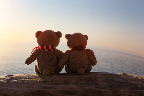 Two toy bear sitting on the background of sunset in nature - Photo, Image