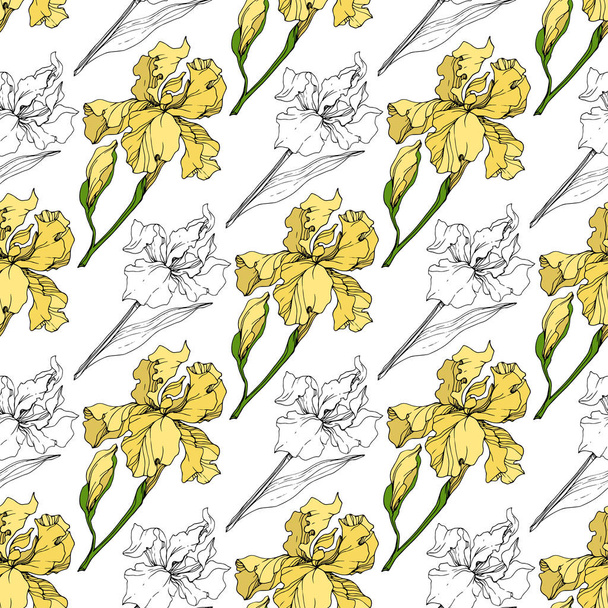 Vector Yellow Iris floral botanical flower. Wild spring leaf wildflower isolated. Engraved ink art. Seamless background pattern. Fabric wallpaper print texture. - Вектор,изображение