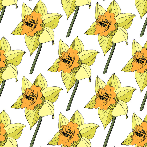 Vektor sárga nárcisz virág botanikai virág. Vad tavaszi levél vadvirág elszigetelt. Vésett tinta art. Varratmentes háttérben minta. Anyagot a nyomtatási textúrát. - Vektor, kép