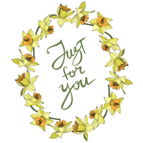 Vector Yellow Narcissus floral botanical flower. Wild spring leaf wildflower isolated. Engraved ink art. Frame border ornament square. - Vector, Image