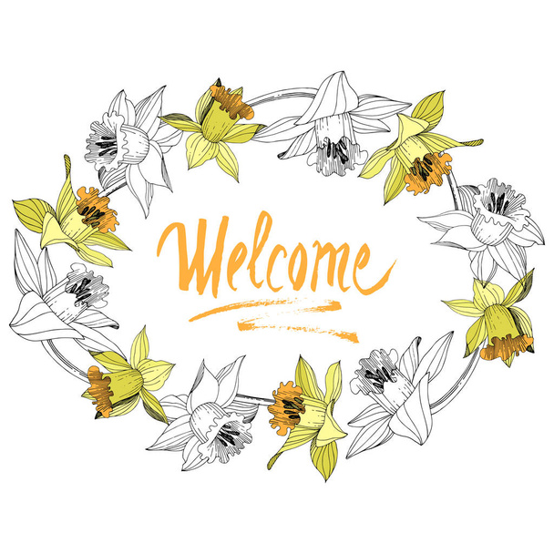 Διάνυσμα floral κίτρινος νάρκισσος λουλούδι βοτανική. Άγρια άνοιξη φύλλων wildflower απομονωμένη. Χαραγμένο μελάνι τέχνης. Πλαίσιο συνόρων στολίδι τετράγωνο. - Διάνυσμα, εικόνα