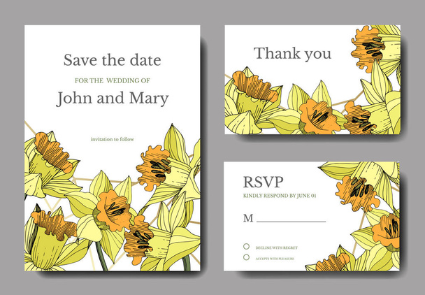 Vector Yellow Narcissus floral botanical flower. Engraved ink art. Wedding background card floral decorative border. Elegant card illustration graphic set banner. - Vector, Image