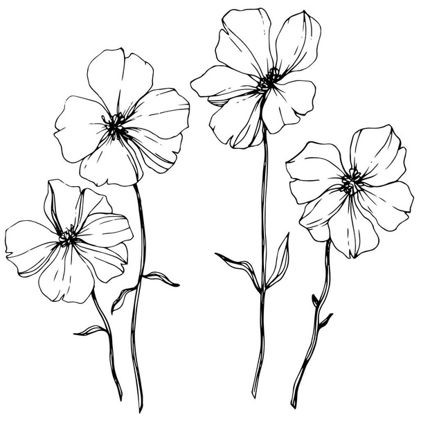 Vector vlas floral botanische bloem. Wild voorjaar blad wildflower geïsoleerd. Zwart-wit gegraveerd inkt kunst. Geïsoleerde vlas illustratie element op witte achtergrond. - Vector, afbeelding