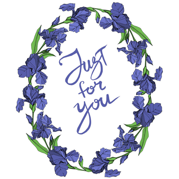 Vektor blaue Iris Blumen botanische Blume auf weißem Hintergrund. wildes Frühlingsblatt Wildblume isoliert. blau und grün gravierte Tuschekunst. Rahmen Rand Ornament Quadrat. - Vektor, Bild