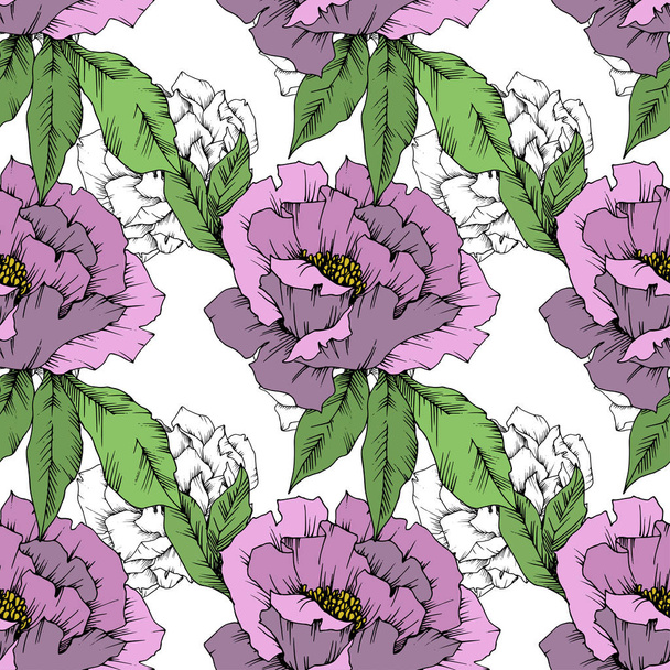 Vector Peony floral botanical flower. Wild spring leaf wildflower isolated. Engraved ink art. Seamless background pattern. Fabric wallpaper print texture. - Vector, Image