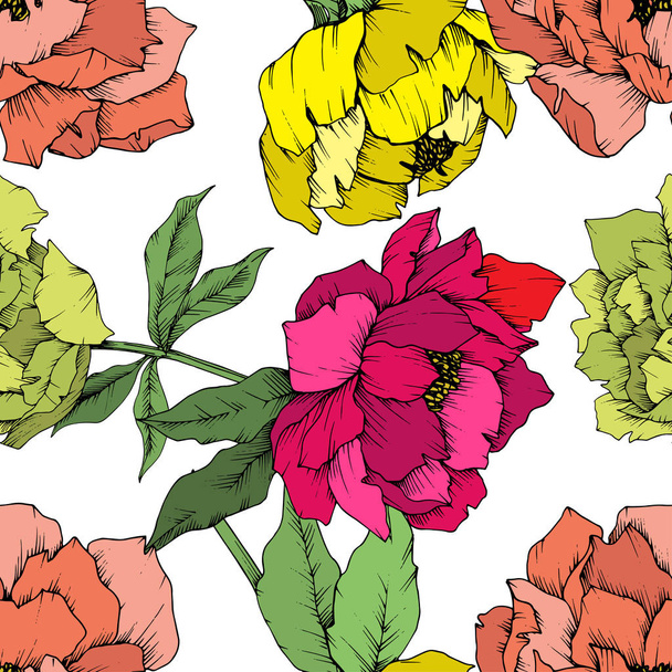 Vector Peony floral botanical flower. Wild spring leaf wildflower isolated. Engraved ink art. Seamless background pattern. Fabric wallpaper print texture. - Vector, Image