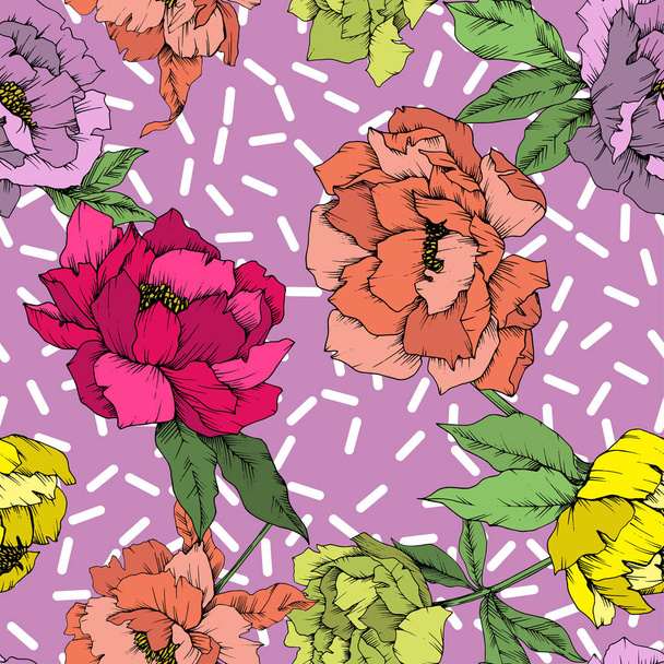 Vektor pünkösdi rózsa virág botanikai virág. Vad tavaszi levél vadvirág elszigetelt. Vésett tinta art. Varratmentes háttérben minta. Anyagot a nyomtatási textúrát. - Vektor, kép