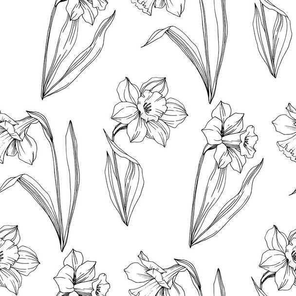 Vector Narcissus flor botánica floral. Flor silvestre de hoja de primavera aislada. Tinta grabada en blanco y negro. Patrón de fondo sin costuras. Textura de impresión de papel pintado de tela
. - Vector, imagen