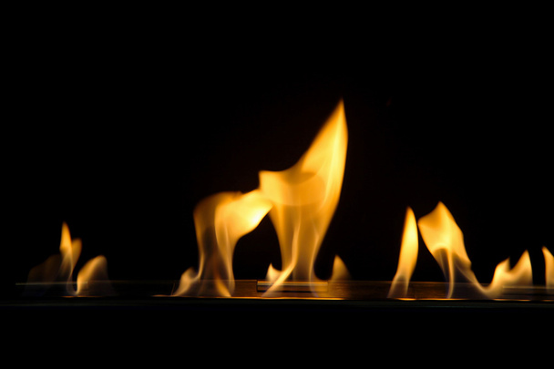 płomień ognia - Zdjęcie, obraz