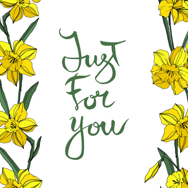 Vector Yellow Narcissus floral botanical flower. Wild spring leaf wildflower isolated. Engraved ink art. Frame border ornament square. - Vector, Image