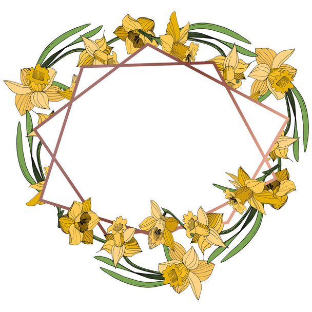 Vector Yellow Narcissus floral botanical flower. Wild spring leaf wildflower isolated. Egraved ink art. Frame border ornament square. - Vektor, kép