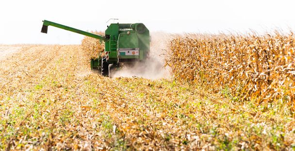 Harvesting of corn fields with combine - Photo, Image
