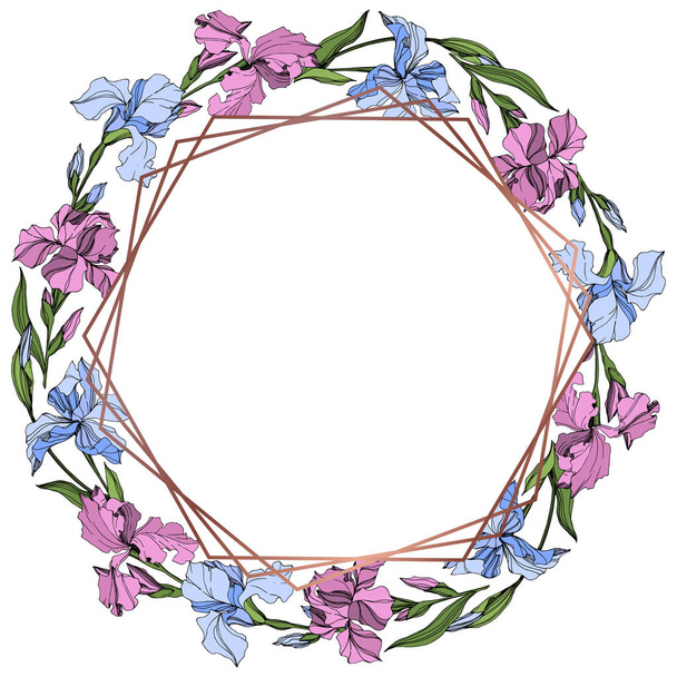 Διάνυσμα ροζ και μπλε λουλουδάτο βοτανικό λουλούδι Ίρις. Άγρια άνοιξη φύλλων wildflower απομονωμένη. Χαραγμένο μελάνι τέχνης. Πλαίσιο συνόρων στολίδι τετράγωνο. - Διάνυσμα, εικόνα