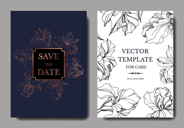 Vector Irises illustration. Greeting cards templates with flowers,  - Vektor, obrázek