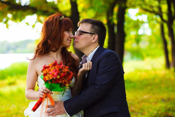 jeunes mariés au mariage mariée et marié étreinte bois vert romantique ki
 - Photo, image